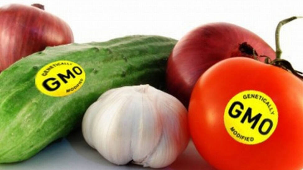 Генетически модифицированные продукты питания 