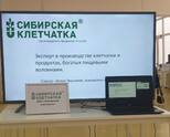 Занимательная встреча